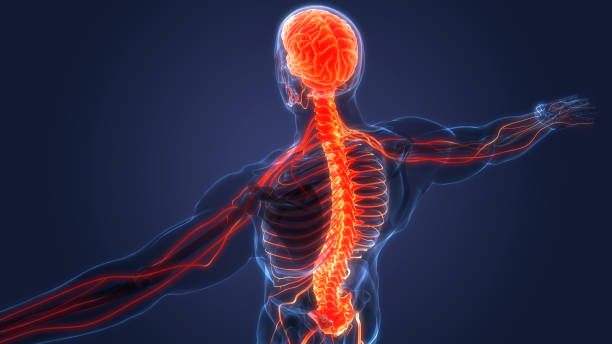 Best Physiotherapist In Indore